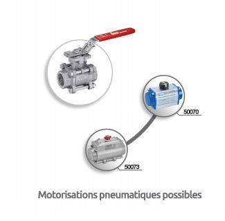 Vanne 3 pièces femelle / femelle Gaz - motorisations pneumatiques