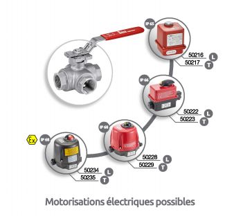 Vanne 3 voies taraudage Gaz avec platine ISO - motorisations électriques