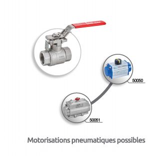 Vanne 2 pièces ATEX femelle / femelle Gaz - motorisations pneumatiques