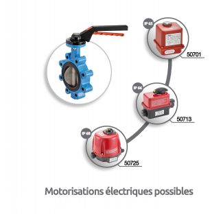 Vanne papillon à oreilles taraudées - motorisations électriques