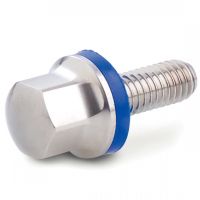 Hexagonal head hygienic screw - nbr gasket - stainless steel a4