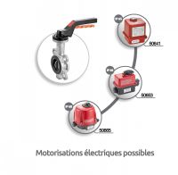 Vanne papillon à oreilles de centrage - motorisations électriques