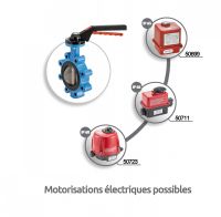 Vanne papillon à oreilles taraudées - motorisations électriques